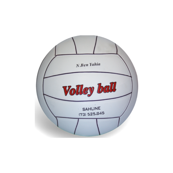 BALLON VOLLEY